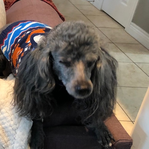 Welcome!! Thanks for visiting our closet! We look forward to visiting yo… - Picture 6 of 9